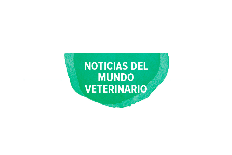 NOta