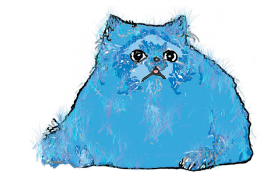 Toxicosis por acetaminofeno en gatos: un CVC doodle