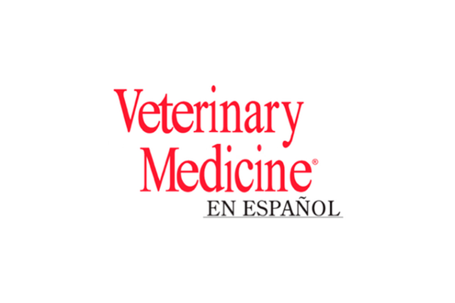 El riesgo de zoonosis de los conejos y otros animales silvestres